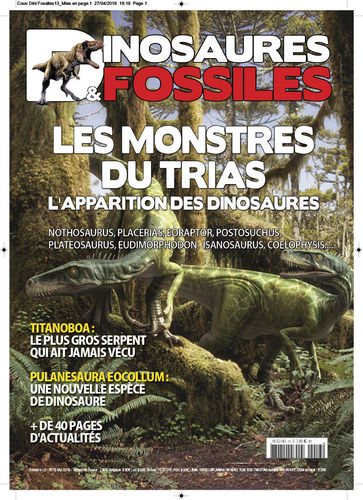 Dinosaures & Fossiles #13