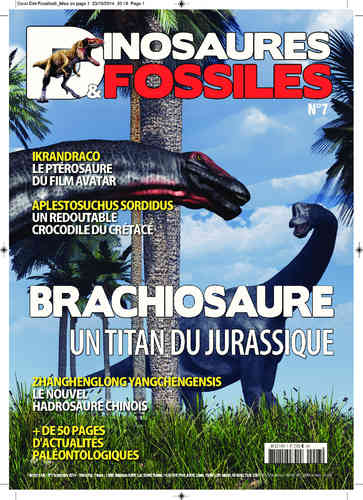 Dinosaures & Fossiles #07