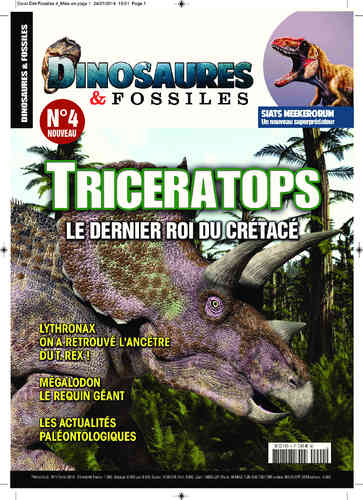 Dinosaures & Fossiles #04