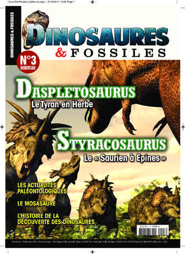 Dinosaures & Fossiles #03