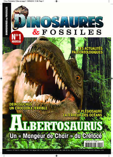 Dinosaures & Fossiles #01