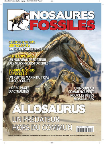 Dinosaures & Fossiles #12