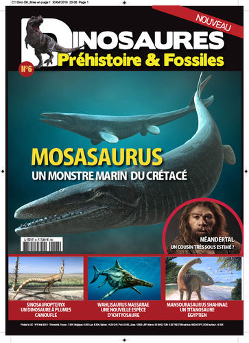 Dinosaures Préhistoire & Fossiles #6