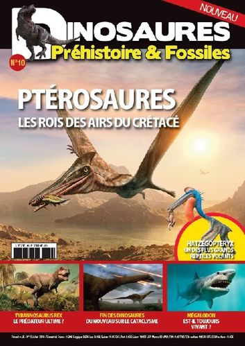 Dinosaures Préhistoire & Fossiles #10