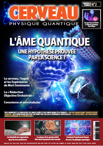 Cerveau & Physique quantique #2
